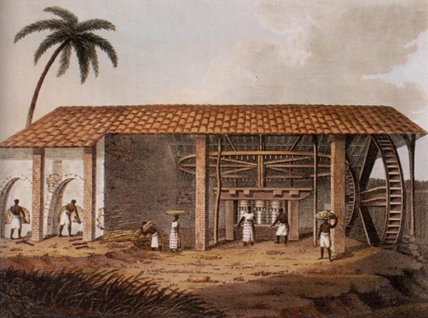 engenho açucar 1816