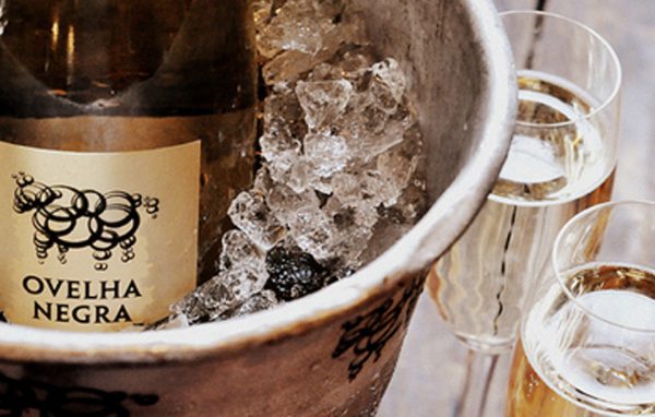 champanharia-ovelha-negra