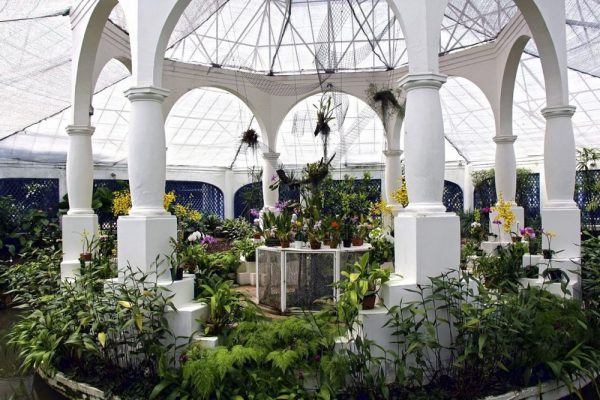 jardín-botanico-rio-de-janeiro
