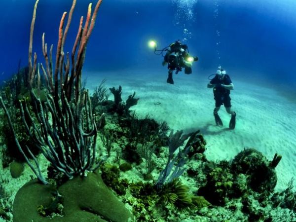 Mergulho com Cilindro  em Paraty