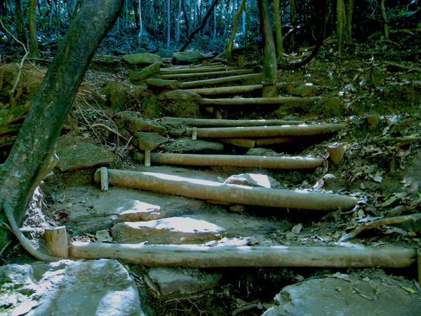 trilha-da-urca-rio-de-janeiro-tours